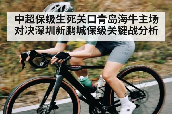 中超保级生死关口青岛海牛主场对决深圳新鹏城保级关键战分析